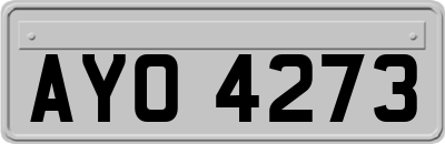 AYO4273