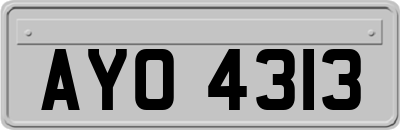 AYO4313