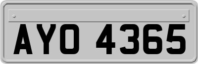 AYO4365