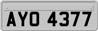 AYO4377