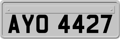 AYO4427