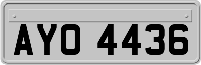 AYO4436