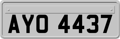AYO4437