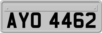 AYO4462