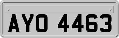 AYO4463