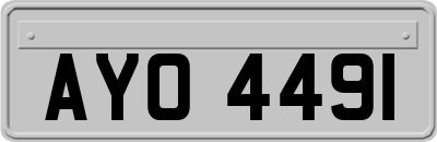 AYO4491