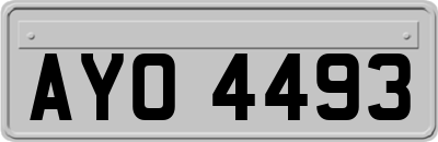 AYO4493