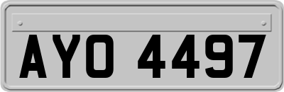 AYO4497