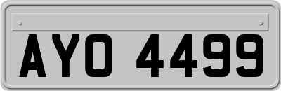 AYO4499