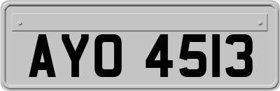 AYO4513
