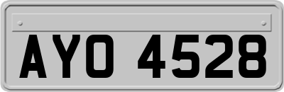 AYO4528
