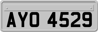 AYO4529