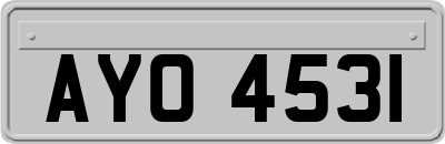 AYO4531