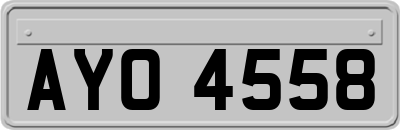 AYO4558