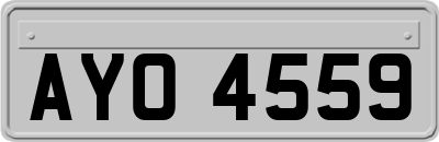AYO4559