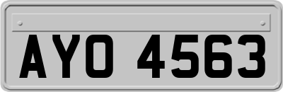 AYO4563