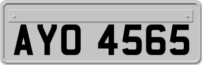 AYO4565