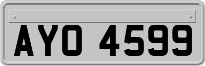 AYO4599