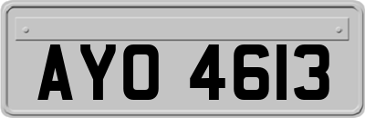 AYO4613