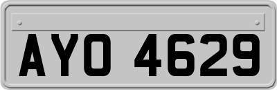 AYO4629