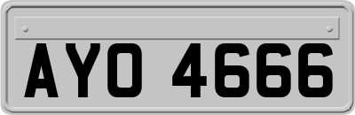 AYO4666