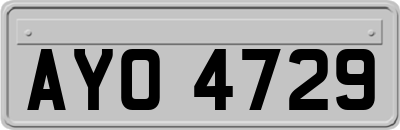 AYO4729