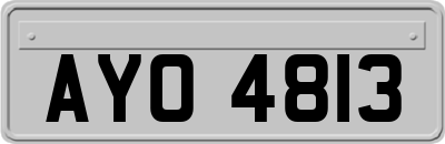 AYO4813