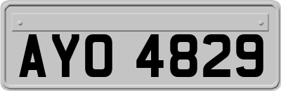 AYO4829