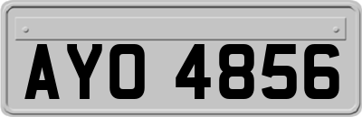 AYO4856