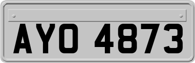 AYO4873