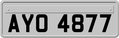 AYO4877