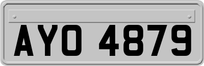 AYO4879