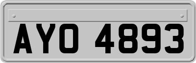 AYO4893