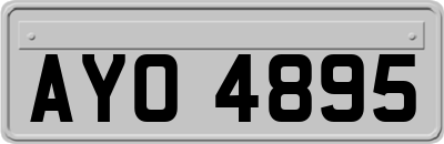 AYO4895