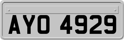 AYO4929