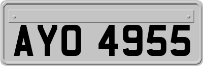 AYO4955