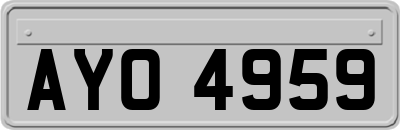 AYO4959