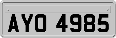 AYO4985