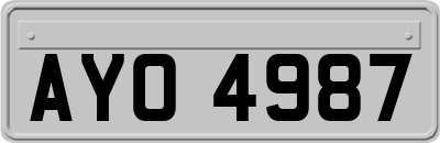 AYO4987