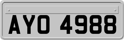 AYO4988