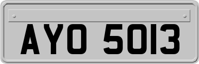 AYO5013