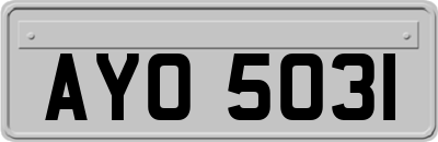 AYO5031