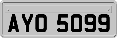 AYO5099