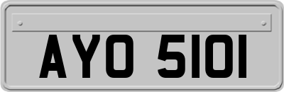 AYO5101