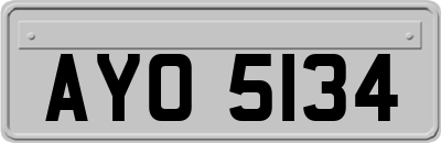 AYO5134