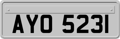 AYO5231