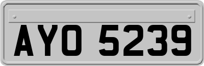 AYO5239