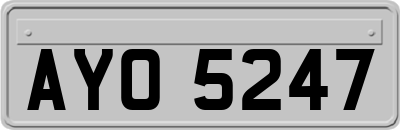 AYO5247