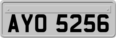 AYO5256