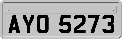 AYO5273